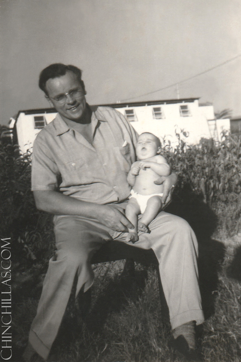 gillingham violet chinchilla salisbury rhodesia afro africa 